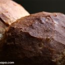 팬브레드 이미지