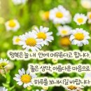 처음 본 순간 ~ 송골매 이미지