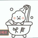 몽끄베르 이미지