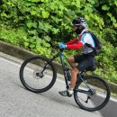 요도천변길 이미지