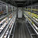 유래메디칼 이미지