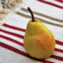 부산물세탁 이미지