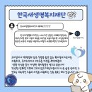 의료법인 새생명의료재단 | <파란천사 서포터즈12기>🪽💙한국새생명복지재단&amp; 파란천사 소개