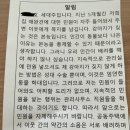 개주인 Daum카페