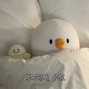 도넛하우스 이미지