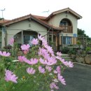 나미송머무는곳 민박 이미지