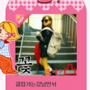 키즈짱 이미지
