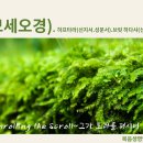 26주(4/9-목)＜반복＞"쉐미니(여덟째)"-레9:1~11:47(모세오경 읽기) 이미지