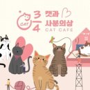 사분의삼