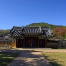 고령시골국수