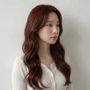 햇살미용실 티스토리