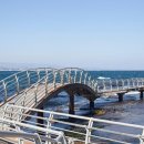 호미반도해안둘레길 이미지