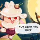 뻐꾸기복사 이미지