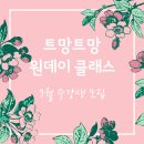 팜프리
