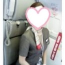 박삼구 | 아시아나항공 박삼구회장님께 밥얻어먹은 썰_아시아나대비 승무원과외