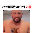 무더위를 이겨낼 시원한 소면 요리 + 반려 동물은 주인의 거울 + 하이키 옐 이미지
