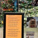 카페 인(CAFF IN) | [등촌동] 카페 “모먼트 인” moment' in 내돈내산 커피 후기 / 디카페인 에티오피아 빅토리아 딸기 케이크