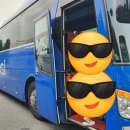 프립 서핑 당일치기 강릉 금진해변 브라보서프 후기