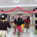 하와이 훌라댄스 (초급반) 이미지