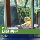 오월드 | 대전 오월드 여행 방문 후기