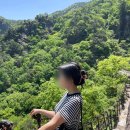 금오카 | [구미여행코스] 금오산케이블카 - 대혜폭포 - 도선굴 가는길 (+ 금오산케이블카 주차, 이용요금)
