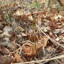 위도면사무소 이미지