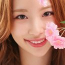 로로포토그라피