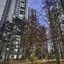 포일배드민턴장 이미지