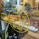 팡쥬르 이미지