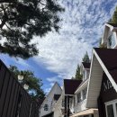 파라다이스 | w. 충주 파라다이스 웨딩홀 계약 후기