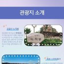 4월11일(토)~12일(일) 남도 맛 여행 - 목포 신안 천사대교 퍼플섬 꽉찬 1박2일 여행 이미지