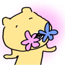 커몬댕댕 광주애견유치원&애견호텔 이미지