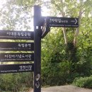 능안정 전망대 화장실 | 서울 서대문 안산자락길 코스및 걷는시간 다녀온 후기 .가을걷기좋은길추천