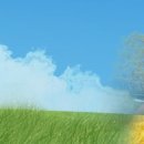 황골세탁소 이미지