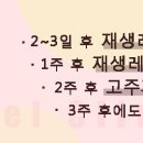 더씨엘
