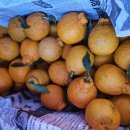 가온하우스 이미지