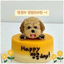 반려동물 간식 네이버블로그
