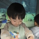 금정아이숲 들락날락
