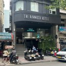 파인짐(FINE GYM) | [The Hammock Hotel Fine Arts Museum] 베트남호치민 1군 가성비숙소 더 해먹 파인아트 뮤지엄