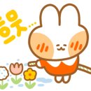 탑튠 이미지