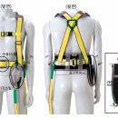 스피드상사 이미지