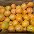 세일농장 이미지