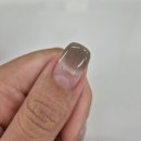 네일비브