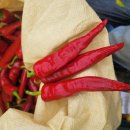 노루목농장 이미지