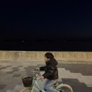 명동 해물칼국수 막국수 | 거북섬칼국수맛집 바다뷰 강도령막국수 후기