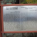 무주펜션 선앤문 이미지