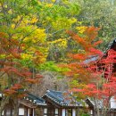 양반참숯갈비 | 경기 남한산성 단풍 실시간 한정식 맛집 낙선재 가을 가볼만한곳