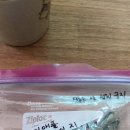 커피콩의하루 이미지
