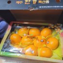 한경 | 제주 한경 천혜향 후기｜3kg 특등급 솔직 리뷰 (크기·맛·아이반응)