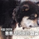 부은농장 이미지